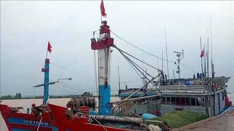 Ứng phó bão số 3: Gần 6.600 tàu, thuyền ở Thanh Hóa đã neo đậu, tránh trú an toàn