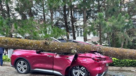 Nhà tốc mái, cây xanh gãy đổ tại Đà Lạt do ảnh hưởng của bão số 3