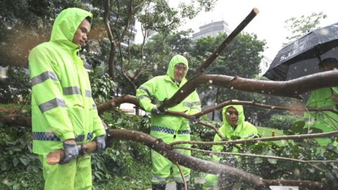 Thiệt hại do bão Wipha tại Quảng Đông (Trung Quốc)