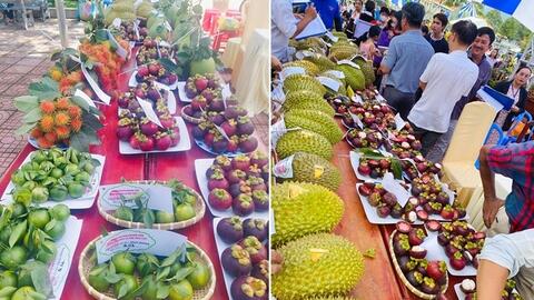 Đẩy mạnh chuỗi giá trị, mở rộng thị trường tiêu thụ trái cây miền núi