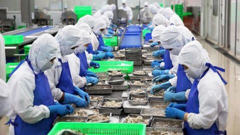 Việt Nam vươn lên vị trí đối tác xuất khẩu thuỷ sản lớn thứ 3 vào Singapore