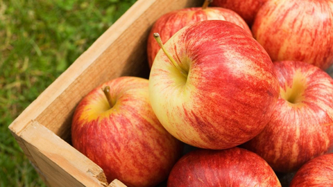 8 loại trái cây giúp giảm axit uric, cải thiện tình trạng bệnh gout