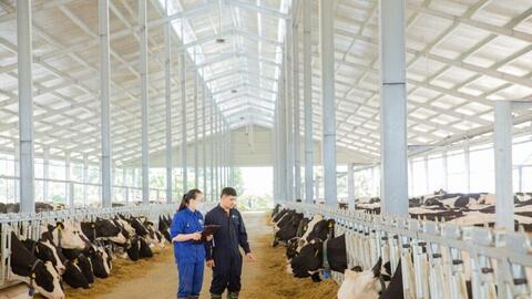 Doanh nghiệp sữa đầu tư công nghệ xanh, hướng đến Net Zero