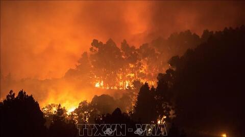 Cháy rừng lớn nhất trong 50 năm tại Tây Ban Nha: Sơ tán khẩn cấp hơn 1.000 người