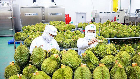 VIS 2025: Nông sản Việt hút hàng trăm 'ông lớn' từ Trung Quốc