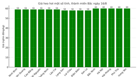 Giá heo hơi hôm nay 16/8/2025: Tiếp tục giảm tại nhiều địa phương