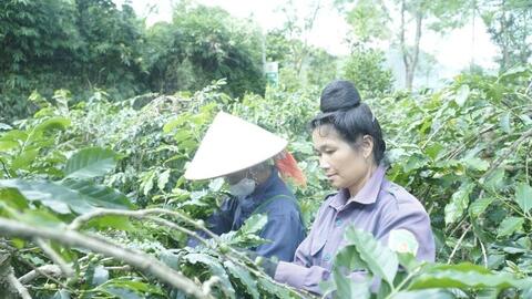 Tăng 10-15% nguồn lực cho Chương trình dân tộc thiểu số và miền núi