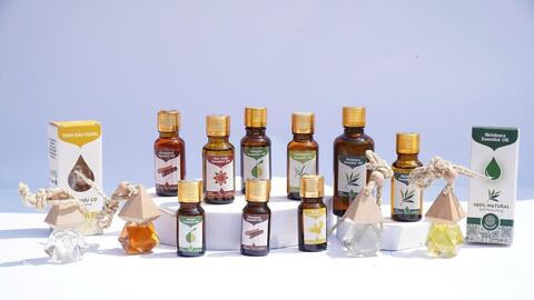 Vinasamex và hành trình đưa quế hồi Việt Nam vươn ra thế giới