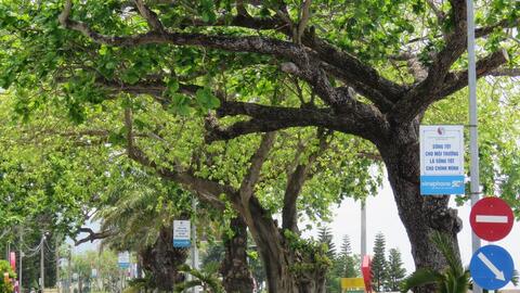 Điện lưới quốc gia hòa vào nhịp sống: Trợ lực để Côn Đảo phát triển bền vững