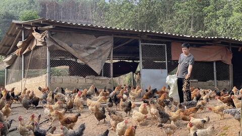 Quảng Ninh: Kích cầu tiêu thụ sản phẩm vùng dân tộc thiểu số theo hướng bền vững