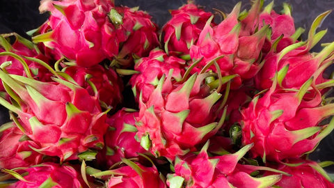 Xây dựng nhãn hiệu cho thanh long Nguyên Bình