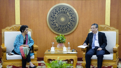 UNDP đồng hành cùng Việt Nam trong huy động tài chính khí hậu, thúc đẩy chuyển dịch năng lượng