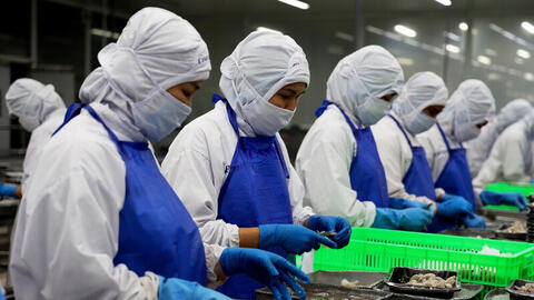 Hệ thống cảnh báo sớm: ‘Lá chắn’ bảo vệ hiệu quả hàng hóa xuất khẩu