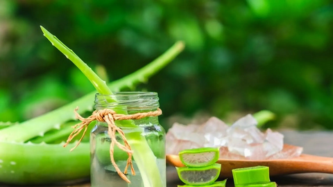 Lợi ích của nước ép nha đam đối với sức khỏe