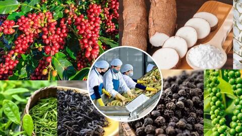 EVFTA hỗ trợ rất lớn cho hàng nông, thủy sản xuất sang Hà Lan