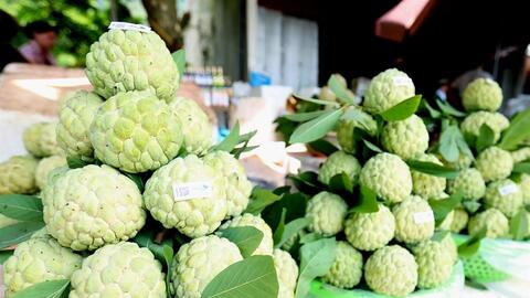 Kết nối đầu ra na Chi Lăng, mở rộng cơ hội cho đồng bào dân tộc