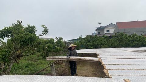 Bắc Ninh: ‘Xây nền’ thoát nghèo bền vững cho vùng dân tộc thiểu số