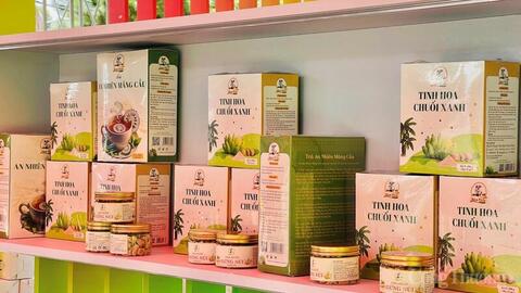 Gia Lai: Tăng giá trị cây chuối mốc của người Jrai