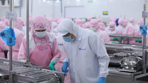 Xuất khẩu sang các nước CPTPP đạt 19,1 tỷ USD nhờ ưu đãi thuế quan