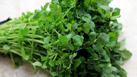 Lợi ích sức khỏe của cải xoong