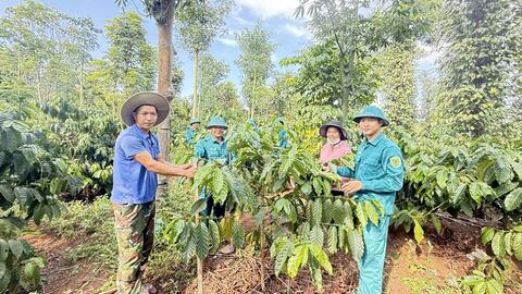 Đắk Phơi tạo đột phá trong giảm nghèo bền vững