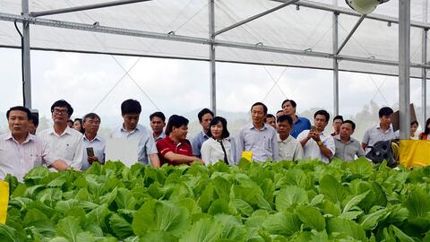 Giảm phát thải trong trồng trọt để bảo vệ môi trường, xây dựng nền sản xuất xanh