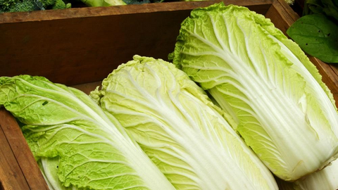 Lợi ích của cải thảo với sức khỏe