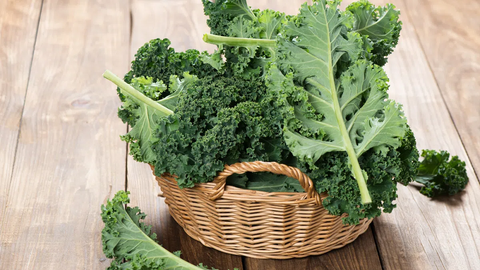 Thực phẩm giúp tăng cường miễn dịch, phòng bệnh tuổi già