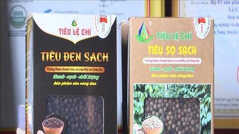 Bản tin nông sản hôm nay (12-11): Giá hồ tiêu và cà phê đồng loạt giảm