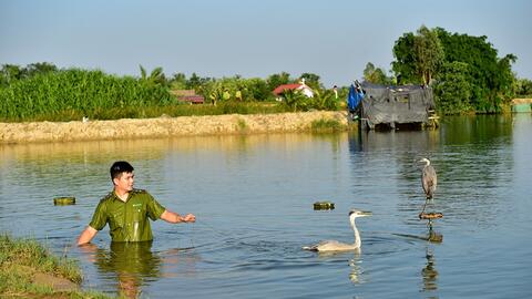 Phát hiện 3.767 cá thể động vật hoang dã nuôi, bẫy trái phép ở các địa phương