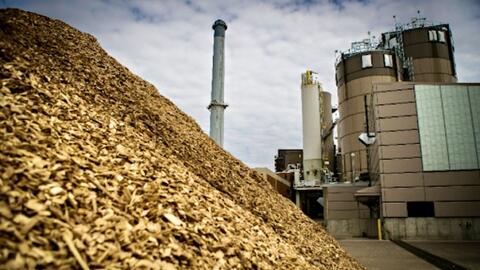 Chấp thuận chủ trương đầu tư Dự án Nhà máy điện sinh khối An Giang 1