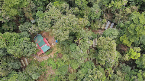 Làm giàu từ 'hạt ngọc' dưới chân núi Ngọc Linh