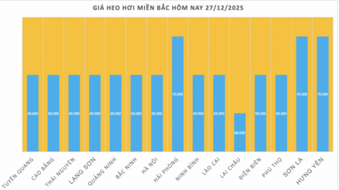 Giá heo hơi hôm nay 27/12/2025: Giảm nhiều nơi