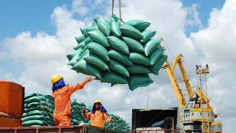 Điều hành xuất khẩu gạo năm 2026: Linh hoạt để giữ thị trường
