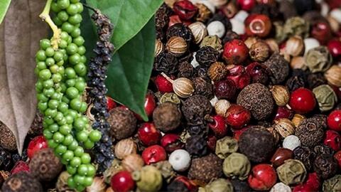 Bản tin nông sản hôm nay (19-1): Giá cà phê, hồ tiêu ổn định