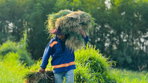 Quảng Ngãi: Thủ phủ kiệu Long Yên thắng lớn vụ Tết