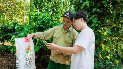 Xuất khẩu cà phê năm 2026: Bức tranh nào sau kỳ tích?