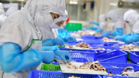 Cơ hội để ngành thủy sản tái cấu trúc theo hướng minh bạch, chuẩn hóa