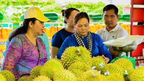 Đa dạng kênh bán hàng, chú trọng chất lượng, bình ổn giá