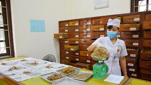 Quy định về kê đơn thuốc cổ truyền, thuốc dược liệu