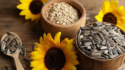 Thực phẩm giàu vitamin E nên ăn mỗi ngày