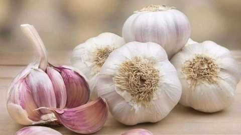 Lợi ích sức khỏe khi ăn tỏi thường xuyên