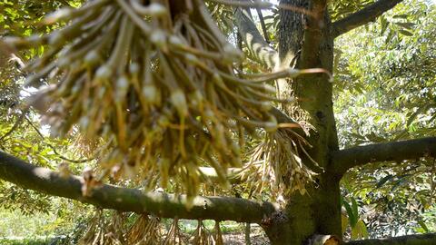 Cạnh tranh bằng việc nâng cao hơn nữa chất lượng sản phẩm nông nghiệp