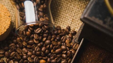 Bản tin nông sản hôm nay (11-3): Giá cà phê, hồ tiêu ổn định, gạo xuất khẩu của Việt Nam giữ giá tốt