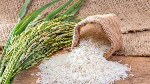 Bản tin nông sản hôm nay (15-3): Giá cà phê và hồ tiêu giảm mạnh