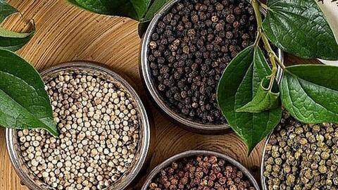 Bản tin nông sản hôm nay (30-3): Giá hồ tiêu tăng nhẹ