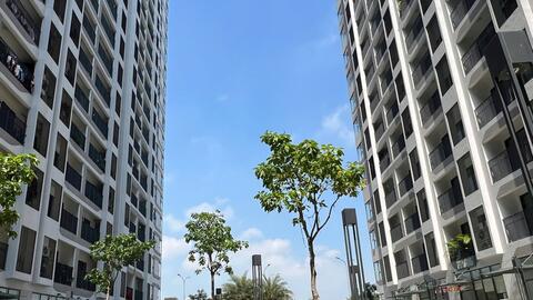 Vì sao thị trường bất động sản khó xuất hiện tình trạng cắt lỗ?