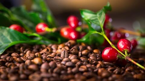 Bản tin nông sản hôm nay (31-3): Giá hồ tiêu bật tăng