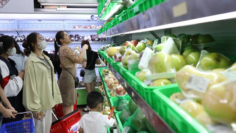 Thủ tướng chỉ đạo tăng cường công tác quản lý, điều hành và bình ổn giá