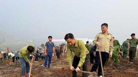 Điện Biên: Phát động phong trào trồng cây năm 2026